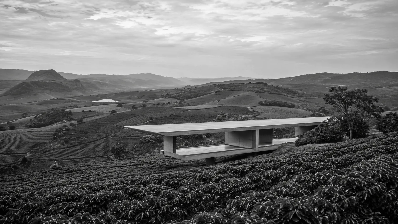 Pavilhão de concreto de linhas minimalistas implantado em meio a plantações e vale, arquitetura que transforma a terra em destino cultural