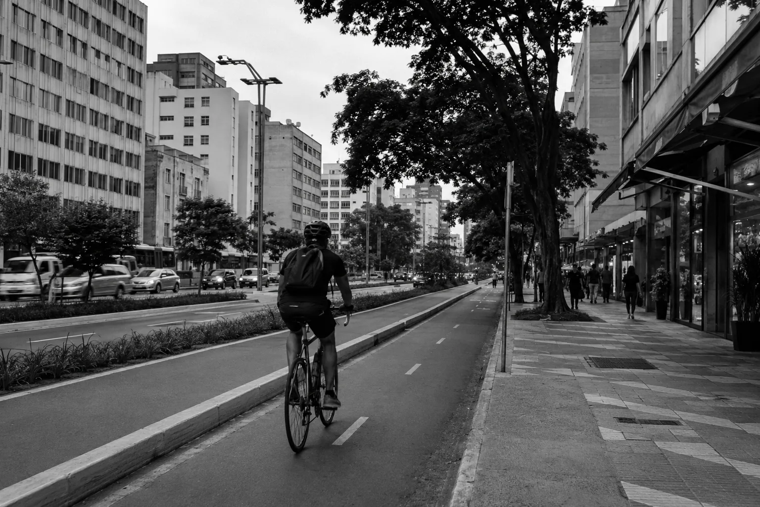 Ciclista em ciclovia de avenida de uso misto, comércio no térreo e calçada arborizada, cidade do Sudeste do Brasil